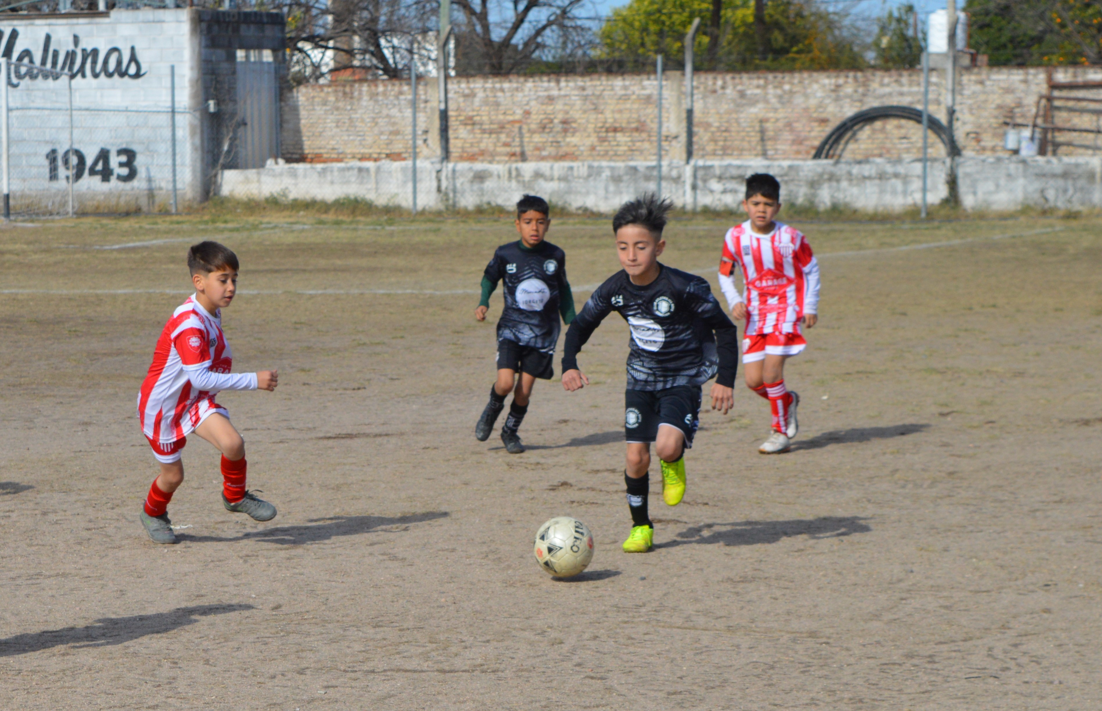 Imagen 2